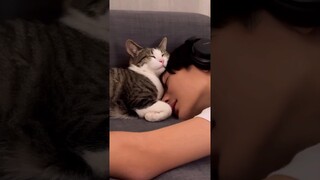 That nice nap 🥰😴 #love #cat #catlover #boyslove #bl #kleyttonherivelto #blseries #lgbt #prank