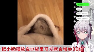 【天音マリー/熟肉】一看猫猫就眼冒爱心的日本大姐姐！