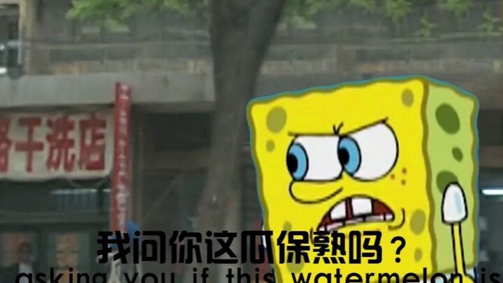 海绵宝宝：“这瓜多少钱一斤？”
