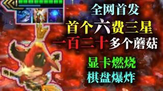 【云顶s5】三星提莫，全网首个六费三星卡，一百二十多个蘑菇，五个赛季云顶最强橙卡，没有之一，合成需要54滴血