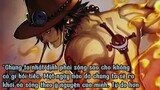Những câu nói hay nhất trong One Piece