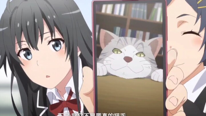 ［春物新OVA］听到猫咪话题雪乃猫瘾犯了拿小町过过瘾