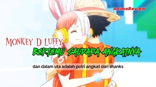 Siapa sih sodaranya Luffy?!