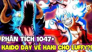 [PHÂN TÍCH 1047+ ONE PIECE] KAIDO GIẢNG DẠY HAKI CHO LUFFY?! | CHI TIẾT ẨN CỦA TÁC GIẢ?!