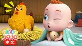 小雞孵出來了+更多 | 農場故事 Farm Story | 動物朋友 Animal Friends | 超級寶貝JoJo | Super JoJo中文👶