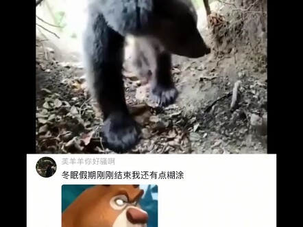 #热评文案#搞笑#娱乐#分享快乐
