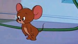 Tom Jerry - Down Beat Bear