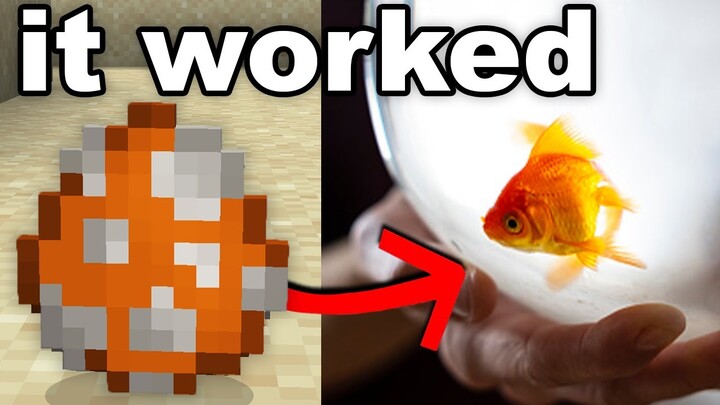 I Found A Minecraft Fish Egg In Real Life