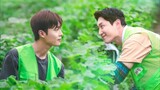 Love tractor ep 8 eng sub FINALE
