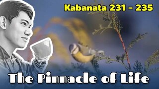 The Pinnacle of Life / Kabanata 231 - 235