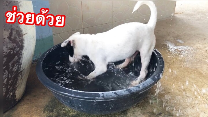 ช่วยด้วย