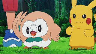 When Timber Owl meets his own evolved form!