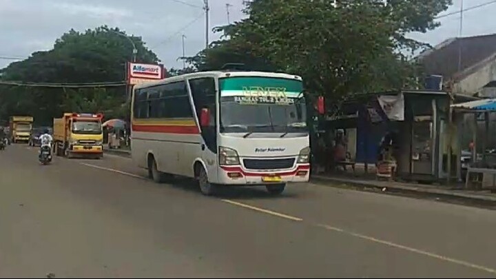 Kompilasi video bus ending 2022