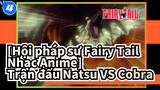 [Hội pháp sư Fairy Tail Nhạc Anime] Trận đấu Natsu VS Cobra (Phần 2)_4