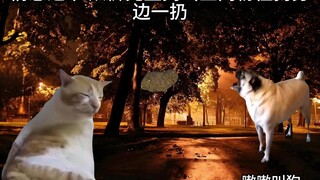 【猫meme】邻居误以为我拿翔砸狗