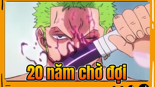 Chờ 20 năm! Cuối cùng Zoro cũng dùng "dao nhỏ" để ngược người ta rồi!