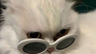 💓🖇️🔗🫰🏻💓