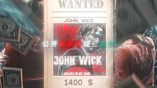 JOHN WICK ：想追杀我，做梦！