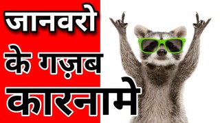 जानवरो के गज़ब किस्से | 🤣🤣 Funny Animals | #Shorts