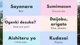 12 PHRASES IN JAPANESE