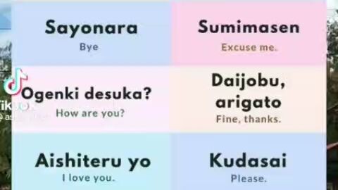 12 PHRASES IN JAPANESE