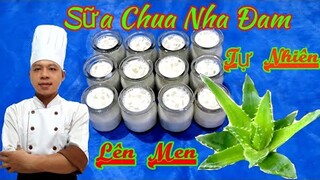 Cách Làm Sữa Chua Nha Đam || Đơn Giản Tại Nhà