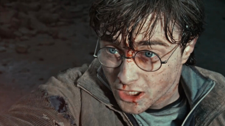 【HP/Mixed Cut/Highly Abuse】What is lost will eventually come back to us in some way