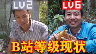 【华农兄弟】B 站 等 级 现 状
