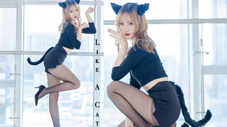 Dance Cover "Like A Cat" - AOA