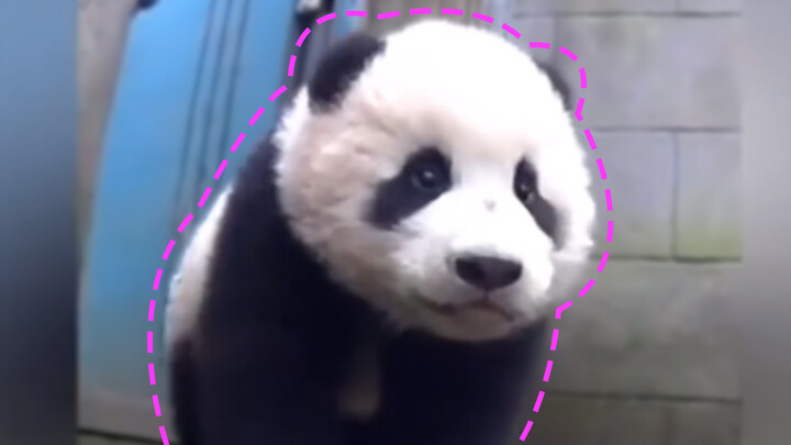 Pandas understanding Sichuan series