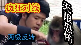 我们仍不知道那天猴子都说了啥【配音】