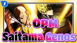 OPM| Show my full RESPECT to Saitama&Genos_1