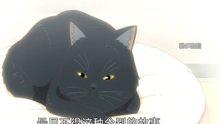 女孩认为黑色不吉利，黑猫改变颜色转世，只想再次当她的猫