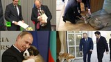 Fun|Russian Chief Catkeeper, Putin