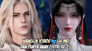 Takdir WangLin dan Liu Mei Istri Ke 2