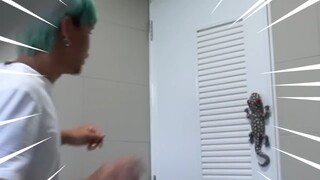 ให้พี่เขาอยู่กับตุ๊กแก
