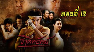 ชาติพยัคฆ์ ตอนที่12