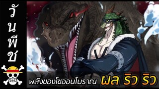 [วันพีช] : พลังของผลสายโซออนโบราณ "ผล ริว ริว" !!