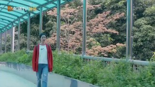 Perfect and Casual (2020) | C-Drama | With English subtitles | 11 out of 24 eps