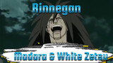 Madara Wears the Rinnegan Brought by White Zetsu and Laughing Madly | Naruto