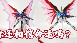 [Bộ sưu tập DestinyGundam] Cậu bé, đây là DestinyGundam mà bạn chưa từng thấy trước đây!