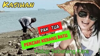 Usianya Sudah Tua Tapi Tetap Semangat Kerja Mencari Kerang Batu di Tepi Laut || Mancing ikan