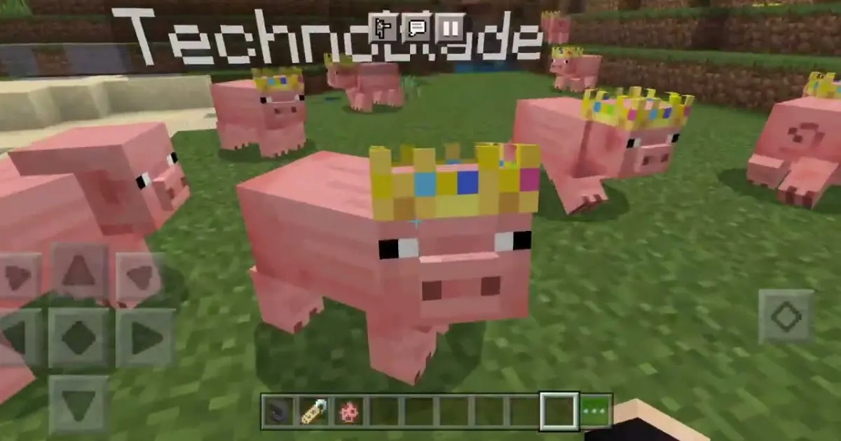 Technoblade Pig Crown Tribute Addon In Minecraft Pe Bilibili