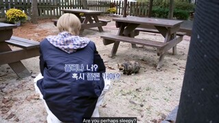 Enhypen En-o'clock Behind Ep 101-103