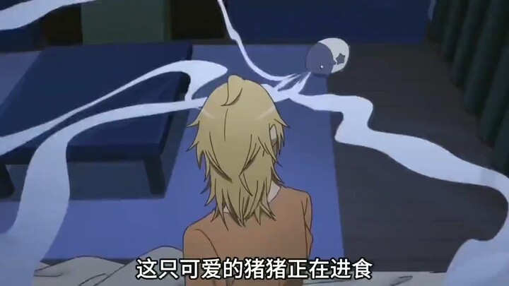 比安神香效果还好的猪猪你见过吗，可以帮吃噩梦的沉猪谁能拒绝
