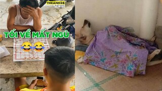 Ông không hiểu sao thua cháu không biết chơi - Top comment FB.