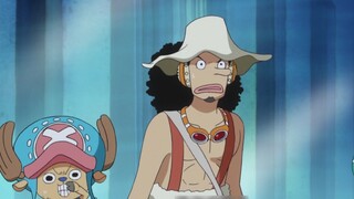 Hearing that Blackbeard was hunting people with abilities, Chopper realized that he might be in dang