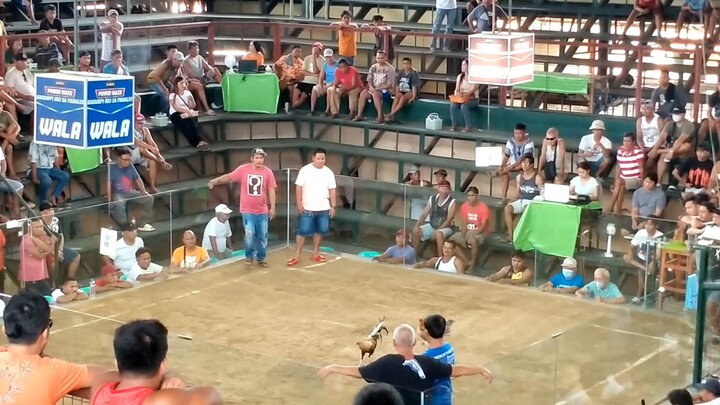 bulik vs binabaeng lemon bulik ung satin Jan