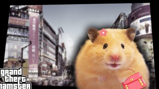 Grand Theft Hamster (หน้าจอโหลด)