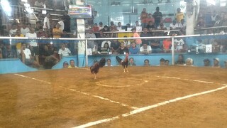 unang champion SA lipa 2nd fight 2hits Lang